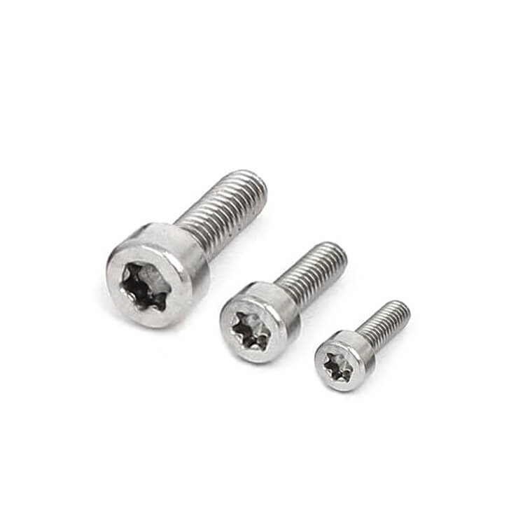 small torx screws
