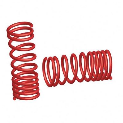 Front coil springs Front coil springs
