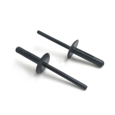 Plastic blind rivets